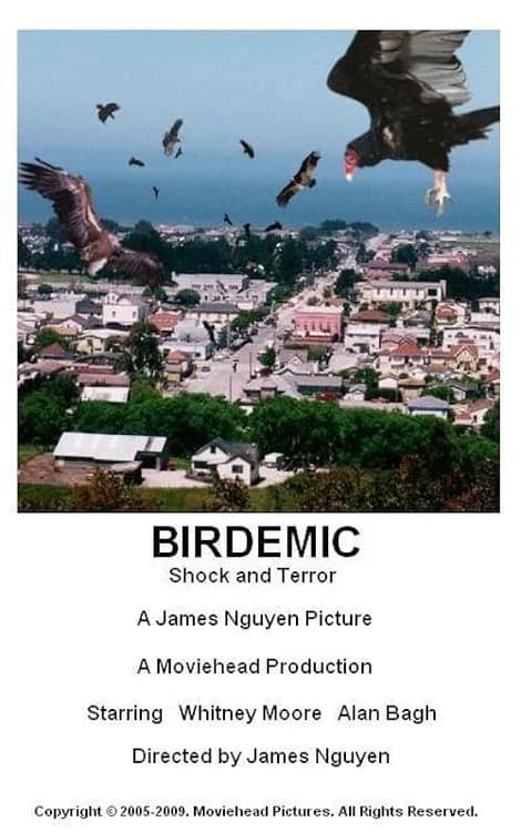 Birdemic: Shock and Terror film posteri