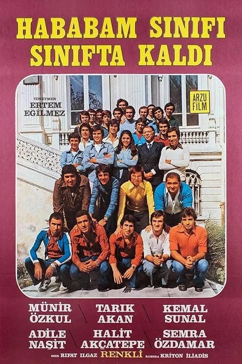 The Chaos Class Failed the Class film posteri